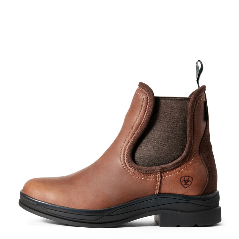 Ariat Keswick - Enkel Laarzen DonkerBruin Dames - 31385-181